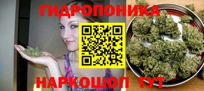 каннабис Нальчик