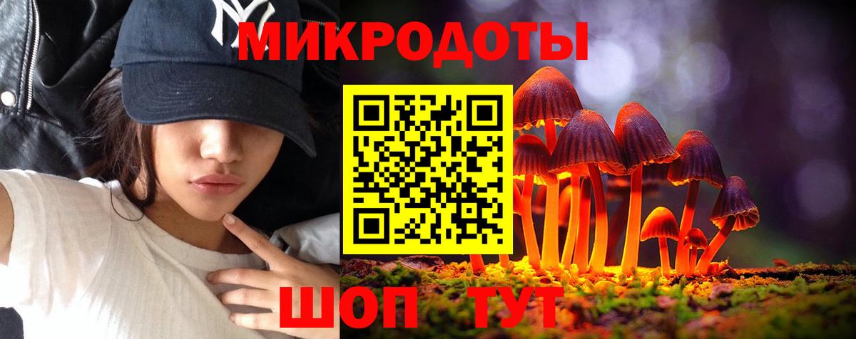 где найти   Псилоцибиновые грибы MAGIC MUSHROOMS  Вход с VPN  Псилоцибиновые грибы Psilocybe  Рузаевка 